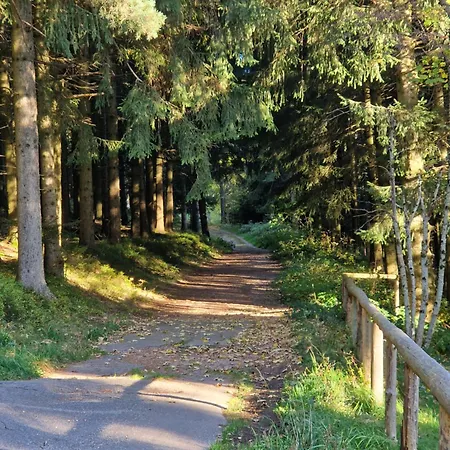 Foresty