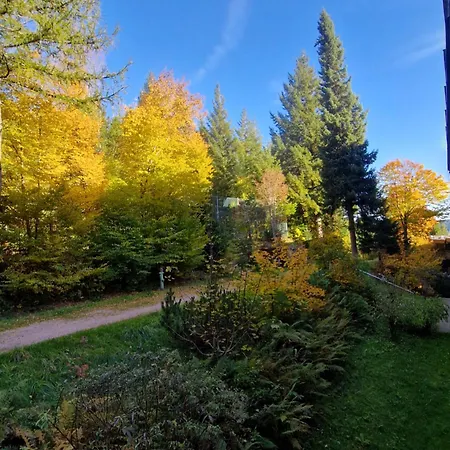 Foresty * Schonach im Schwarzwald